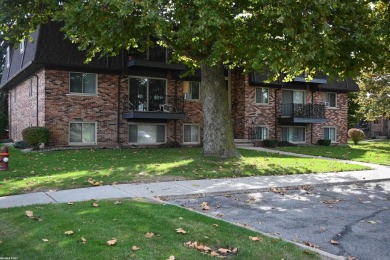 Lake Saint Clair Condo Sale Pending in Saint Clair Shores Michigan