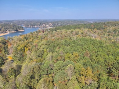 Lake Acreage For Sale in Bremen, Alabama