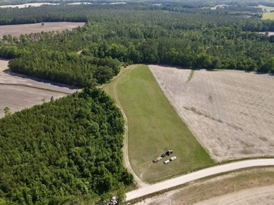 (private lake, pond, coastal) Acreage For Sale in Cerro Gordo North Carolina