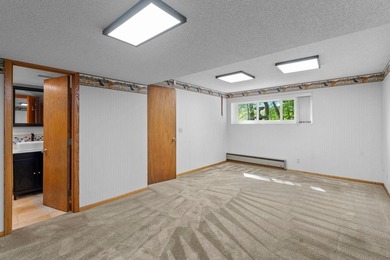Affordable lakeshore living in Ramsey County is unheard of - photo 29