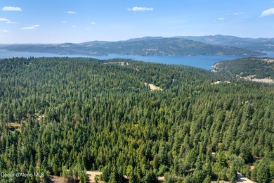 Lake Acreage For Sale in Harrison, Idaho