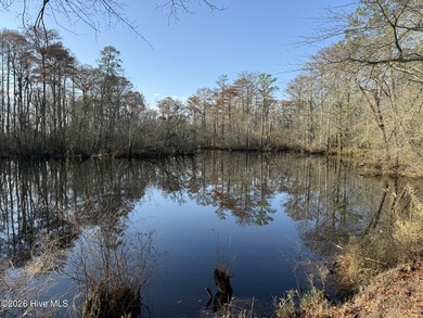 Waterfront 4.47-acre homesite on Tranters Creek offering - photo 6