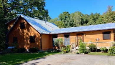Lake Home For Sale in Wellington, Ohio