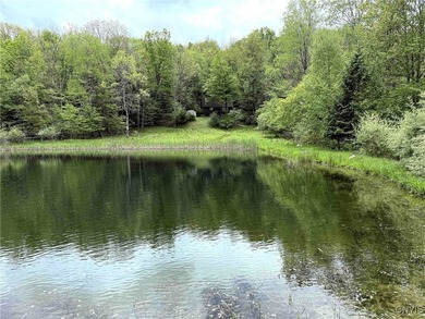 (private lake, pond, coastal) Acreage For Sale in Cameron New York