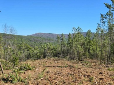For Sale: Timberland Investment Property on Poteau Mountain - photo 11