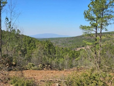 For Sale: Timberland Investment Property on Poteau Mountain - photo 12