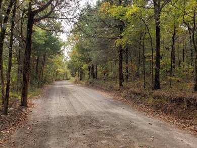 For Sale: Timberland Investment Property on Poteau Mountain - photo 13