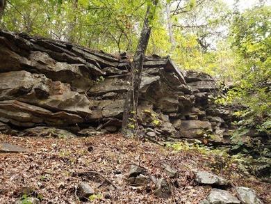 For Sale: Timberland Investment Property on Poteau Mountain - photo 14