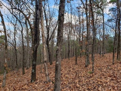 For Sale: Timberland Investment Property on Poteau Mountain - photo 15
