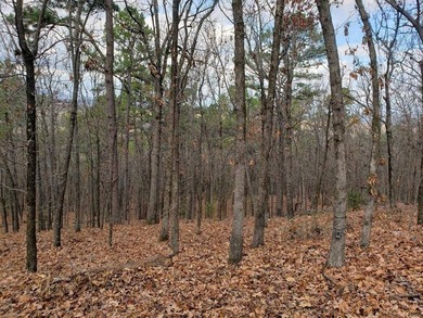 For Sale: Timberland Investment Property on Poteau Mountain - photo 16