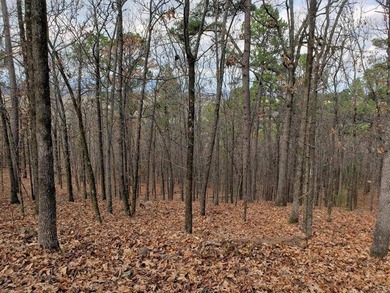For Sale: Timberland Investment Property on Poteau Mountain - photo 17