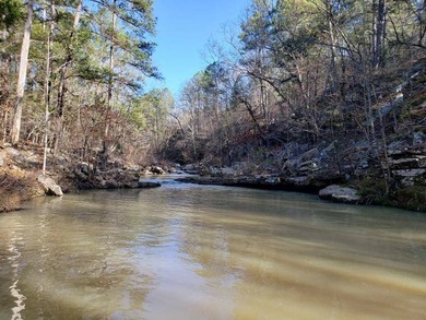 For Sale: Timberland Investment Property on Poteau Mountain - photo 18