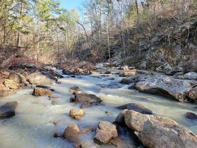 For Sale: Timberland Investment Property on Poteau Mountain - photo 19
