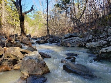 For Sale: Timberland Investment Property on Poteau Mountain - photo 20