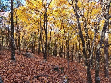 For Sale: Timberland Investment Property on Poteau Mountain - photo 21