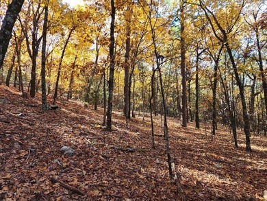 For Sale: Timberland Investment Property on Poteau Mountain - photo 22