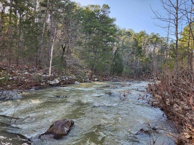 For Sale: Timberland Investment Property on Poteau Mountain - photo 23