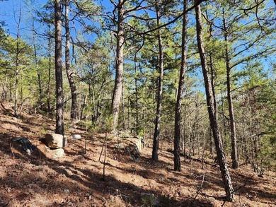 For Sale: Timberland Investment Property on Poteau Mountain - photo 24