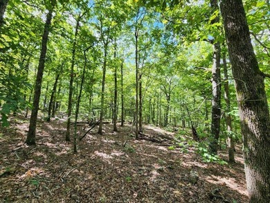 For Sale: Timberland Investment Property on Poteau Mountain - photo 26