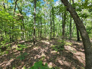 For Sale: Timberland Investment Property on Poteau Mountain - photo 27