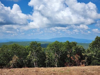 For Sale: Timberland Investment Property on Poteau Mountain - photo 28