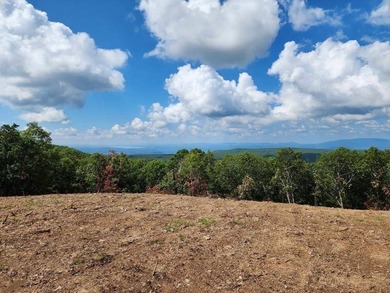 For Sale: Timberland Investment Property on Poteau Mountain - photo 29