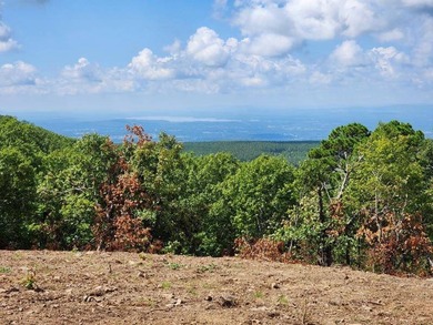 For Sale: Timberland Investment Property on Poteau Mountain - photo 30