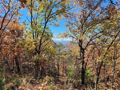 For Sale: Timberland Investment Property on Poteau Mountain - photo 31