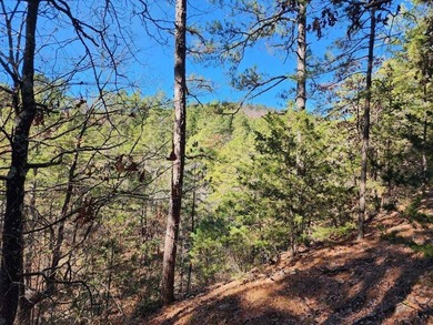 For Sale: Timberland Investment Property on Poteau Mountain - photo 32