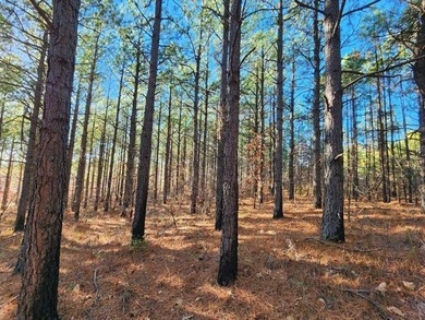 For Sale: Timberland Investment Property on Poteau Mountain - photo 33