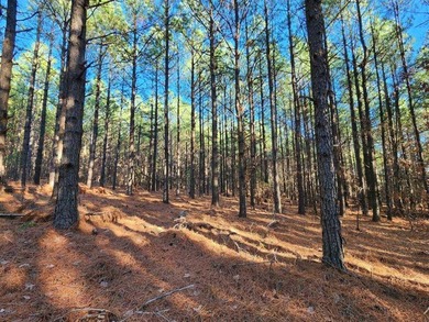 For Sale: Timberland Investment Property on Poteau Mountain - photo 34