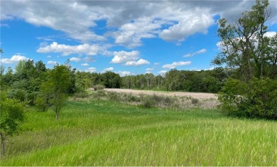 Clearwater River  Acreage For Sale in South Haven Minnesota