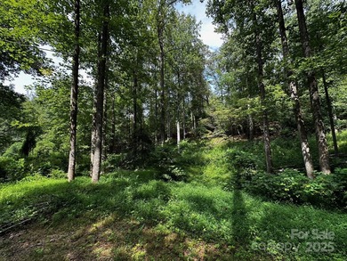 34 ACRES less than 2 miles from beautiful Lake Lure! This - photo 11