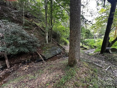 34 ACRES less than 2 miles from beautiful Lake Lure! This - photo 12