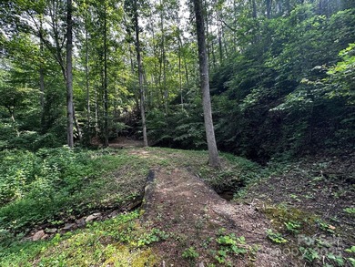 34 ACRES less than 2 miles from beautiful Lake Lure! This - photo 13
