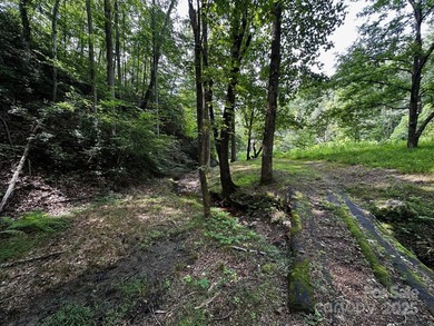 34 ACRES less than 2 miles from beautiful Lake Lure! This - photo 14