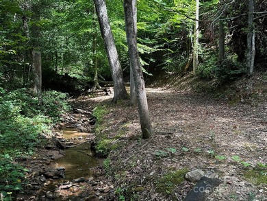 34 ACRES less than 2 miles from beautiful Lake Lure! This - photo 15