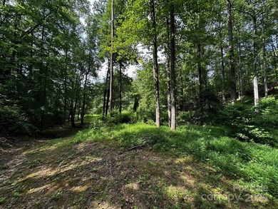 34 ACRES less than 2 miles from beautiful Lake Lure! This - photo 16