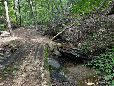 34 ACRES less than 2 miles from beautiful Lake Lure! This - photo 17