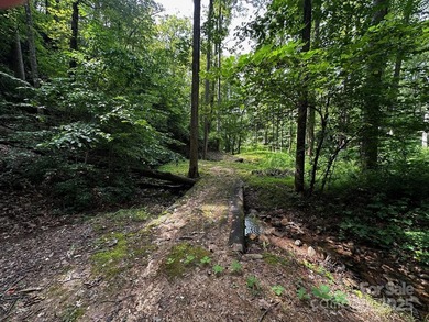 34 ACRES less than 2 miles from beautiful Lake Lure! This - photo 18