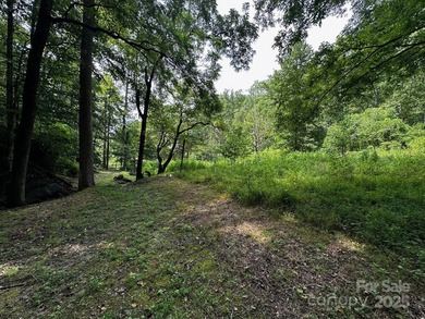 34 ACRES less than 2 miles from beautiful Lake Lure! This - photo 20
