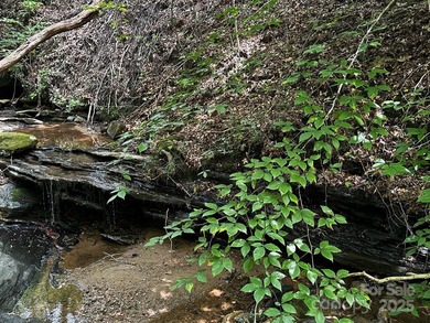 34 ACRES less than 2 miles from beautiful Lake Lure! This - photo 21