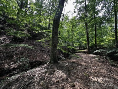 34 ACRES less than 2 miles from beautiful Lake Lure! This - photo 22