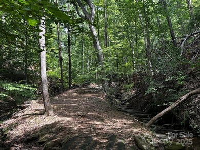 34 ACRES less than 2 miles from beautiful Lake Lure! This - photo 23