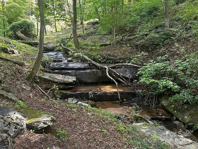 34 ACRES less than 2 miles from beautiful Lake Lure! This - photo 24