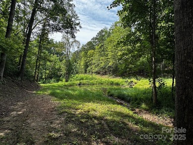 34 ACRES less than 2 miles from beautiful Lake Lure! This - photo 25