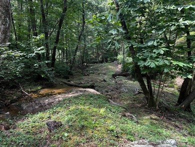 34 ACRES less than 2 miles from beautiful Lake Lure! This - photo 26