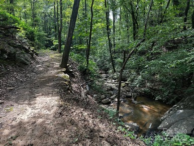 34 ACRES less than 2 miles from beautiful Lake Lure! This - photo 27