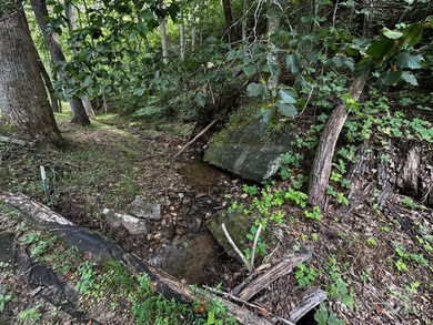34 ACRES less than 2 miles from beautiful Lake Lure! This - photo 28
