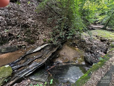 34 ACRES less than 2 miles from beautiful Lake Lure! This - photo 29